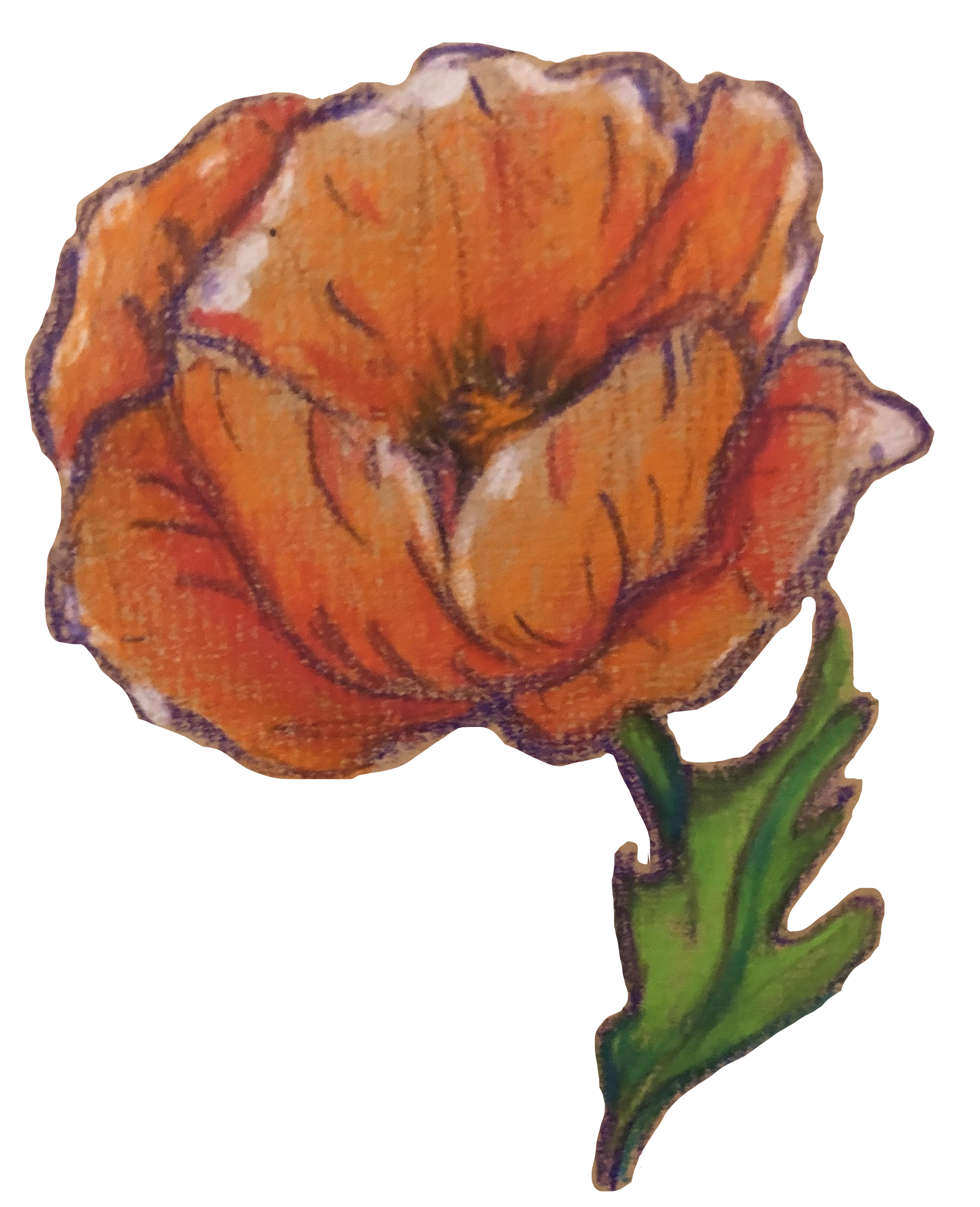 Poppy Drawing Honoring 'R'